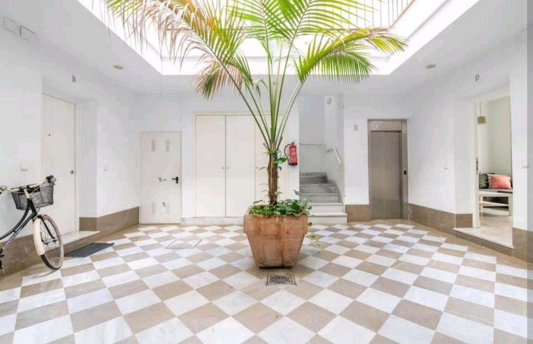 Casa De La Alameda Lejlighed Sevilla Eksteriør billede